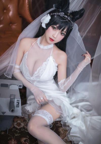 本能5_高清全集免费观看