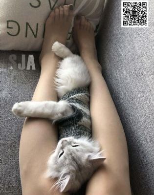 开端在线观看_1080高清视频观看