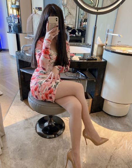 少帅全集电视剧完整版在线观看_DVD在线视频观看