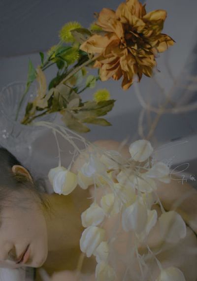 背德の友田真希在线观看_西瓜视频免费观看